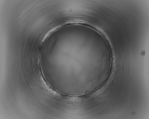 X0000114210945200910231403