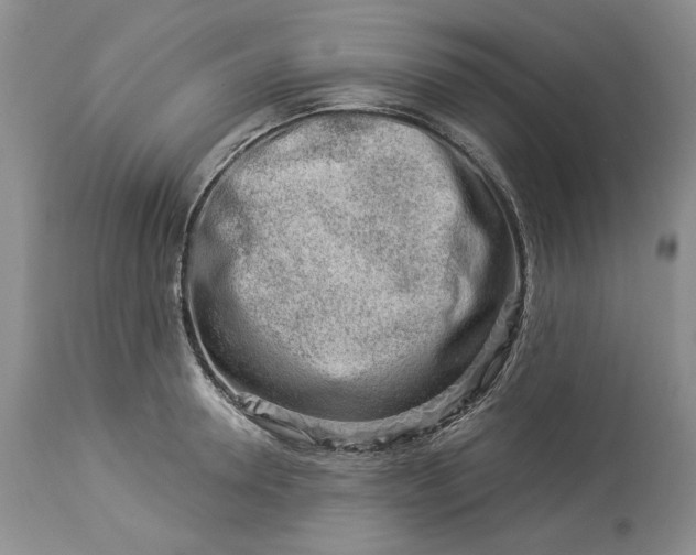 X0000114210946200910231403
