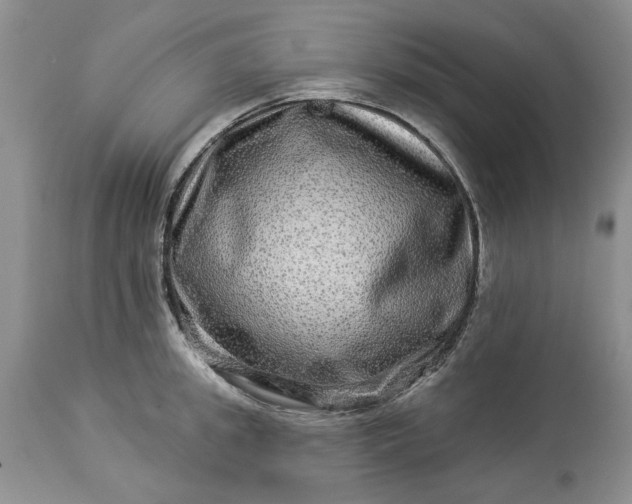 X0000114210949200910231403