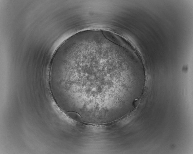 X0000114210952200910231403