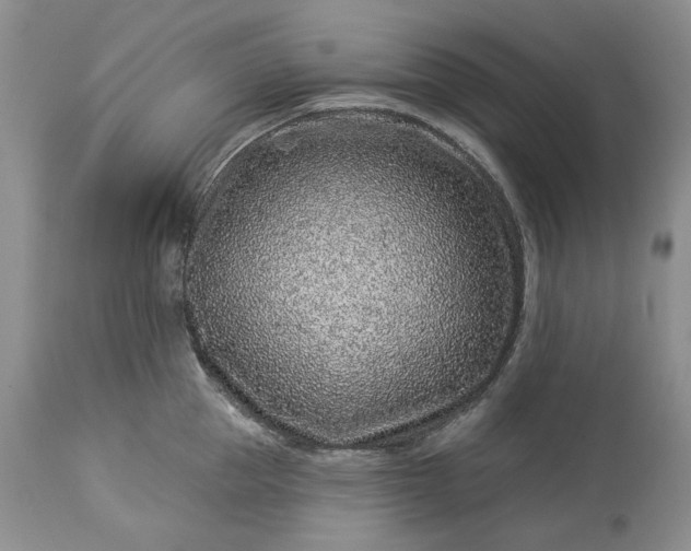 X0000114210953200910231403