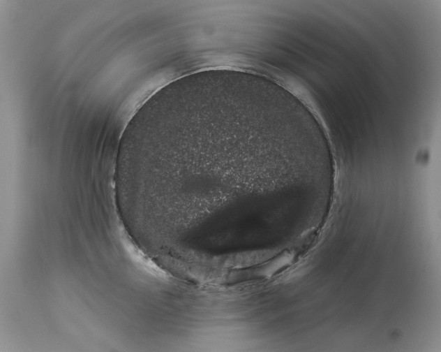X0000114210954200910231403