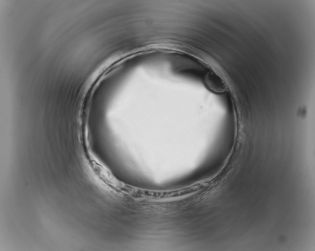 X0000114210955200910231403