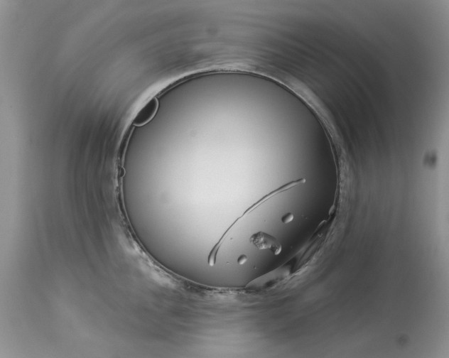 X0000114210956200910231403