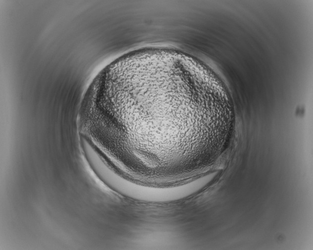 X0000114210959200910231403