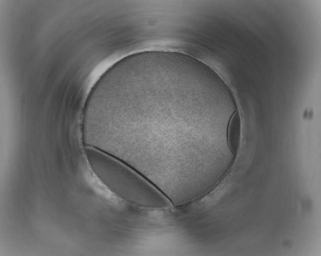 X0000114210960200910231403