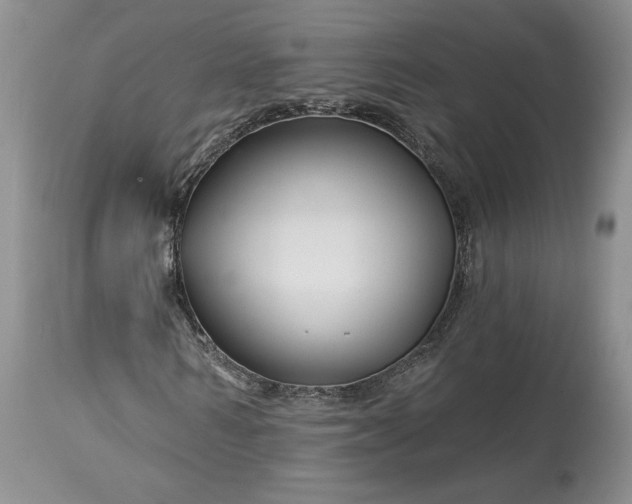 X0000114210962200910231402