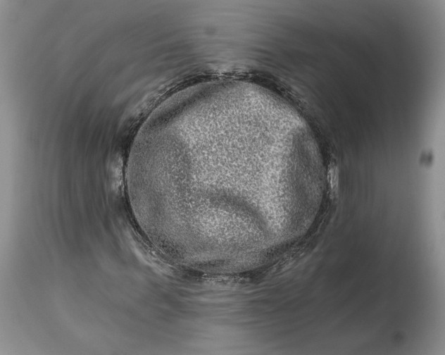 X0000114210963200910231402
