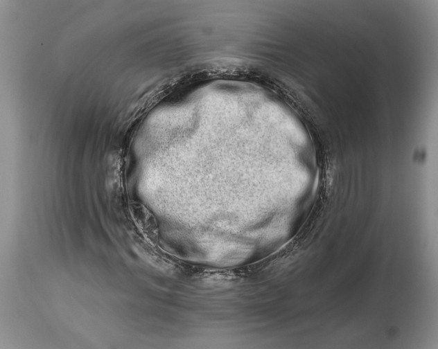X0000114210964200910231402