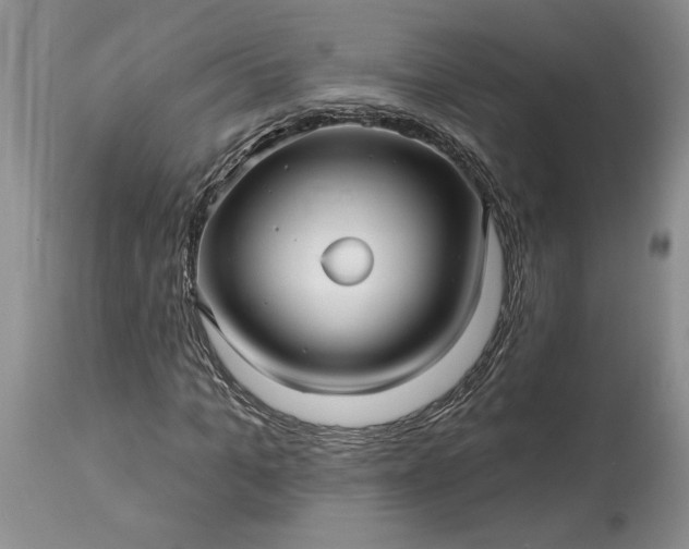 X0000114210965200910231402