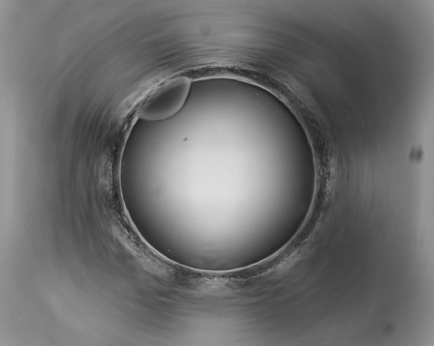 X0000114210969200910231402