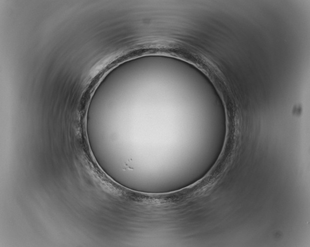 X0000114210970200910231402