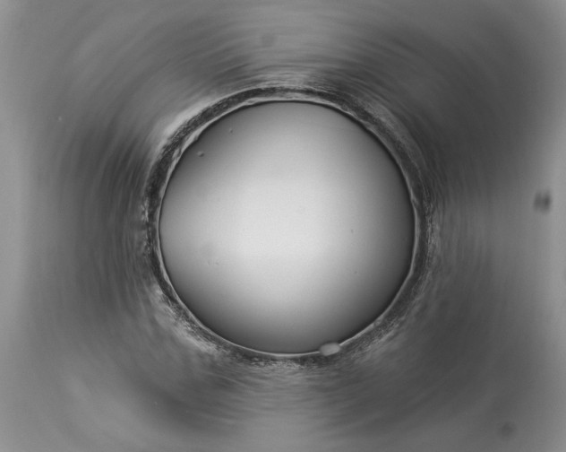 X0000114210971200910231402