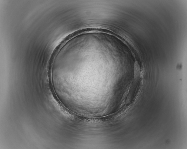 X0000114210972200910231402