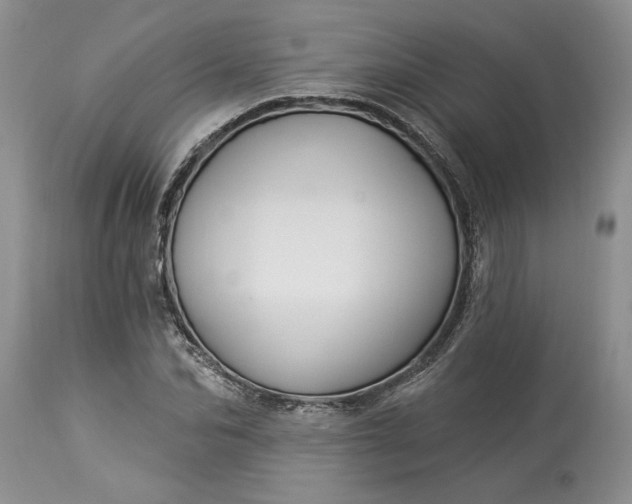 X0000114210974200910231402