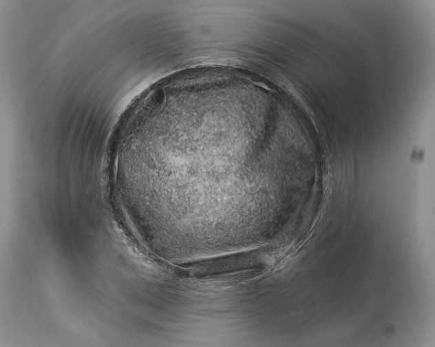 X0000114210975200910231402