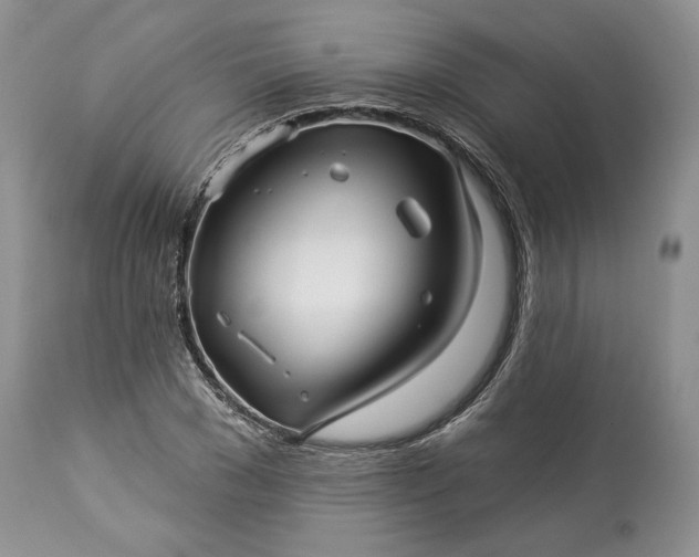 X0000114210977200910231402