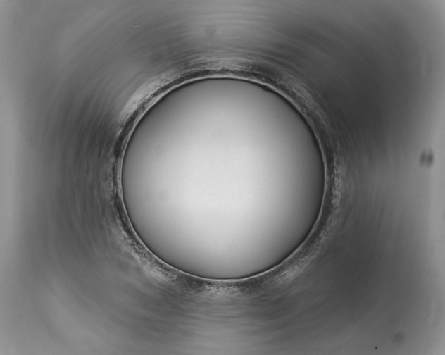 X0000114210978200910231402