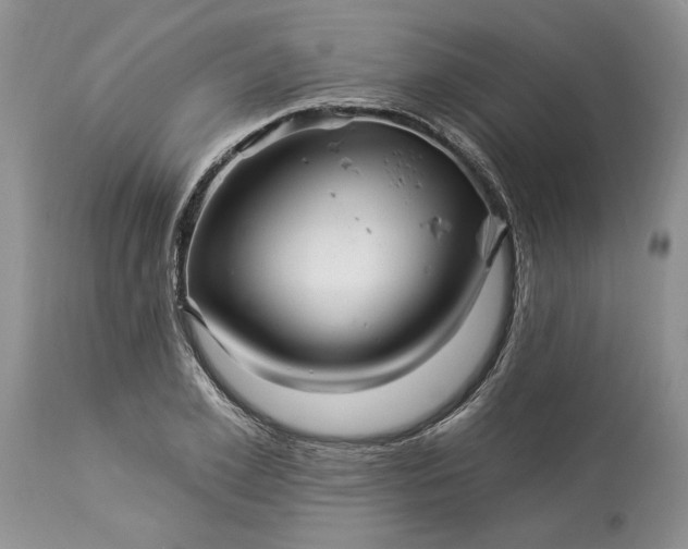X0000114210981200910231402
