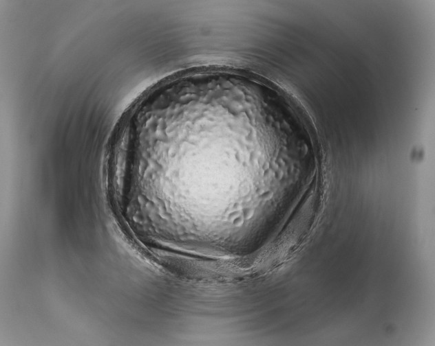 X0000114210983200910231402