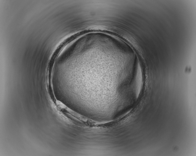 X0000114210984200910231402