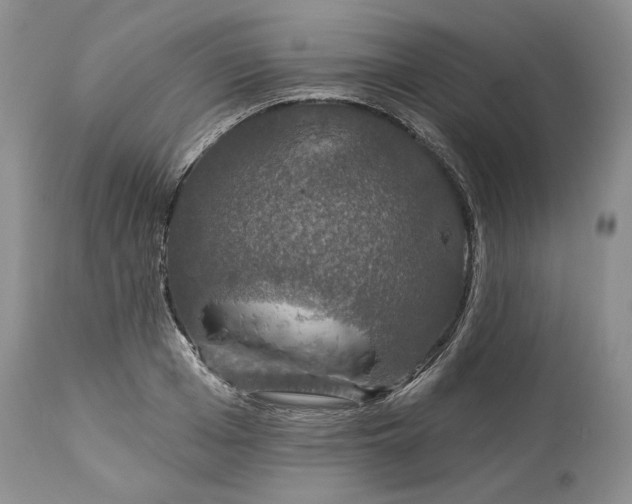 X0000114210985200910231402
