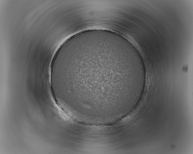X0000114210988200910231402