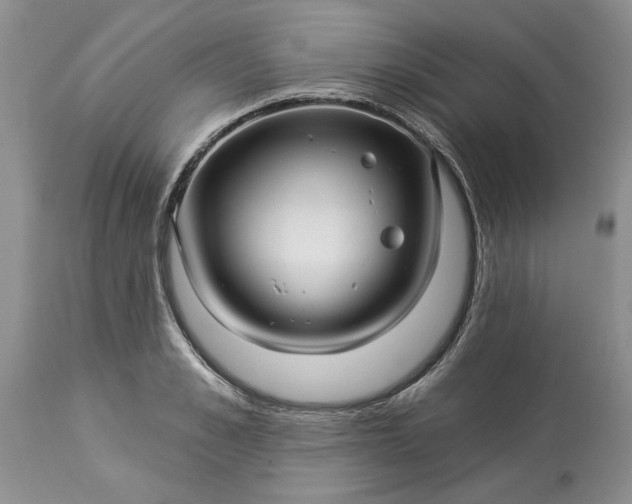X0000114210989200910231402