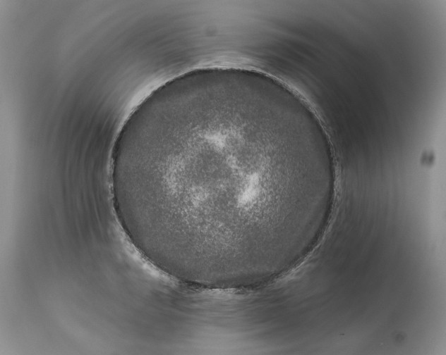 X0000114210990200910231402