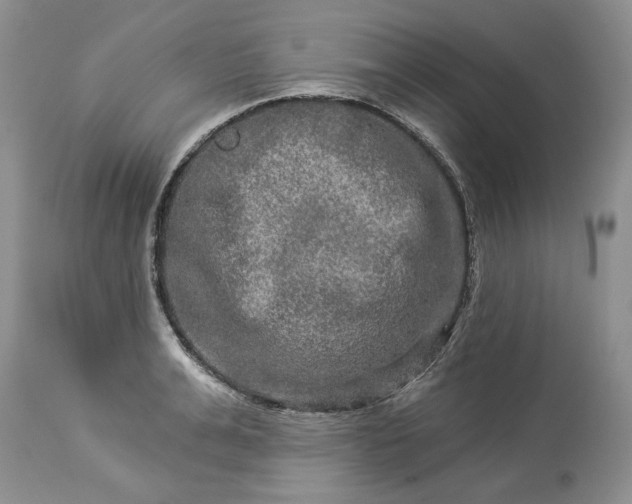 X0000114210991200910231402