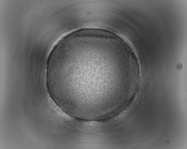 X0000114210992200910231402