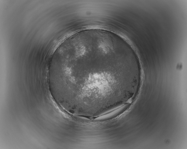 X0000114210993200910231402