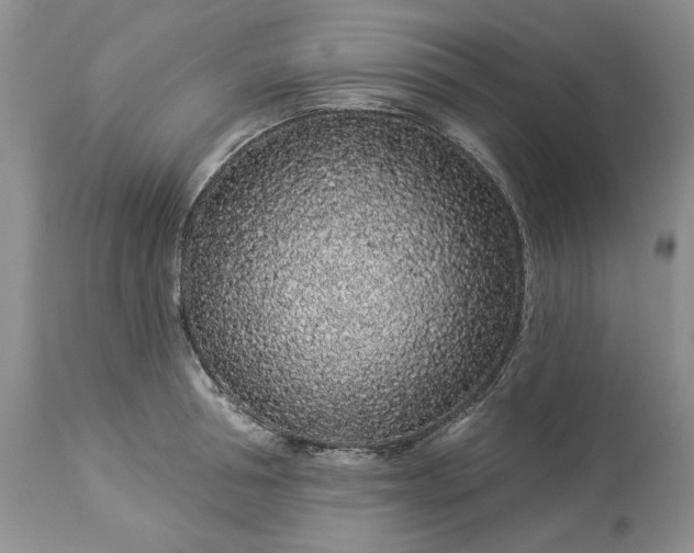 X0000114210994200910231402