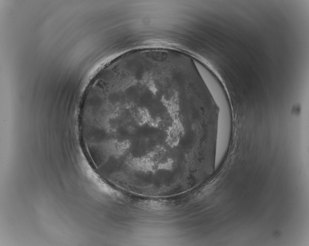 X0000114210995200910231402
