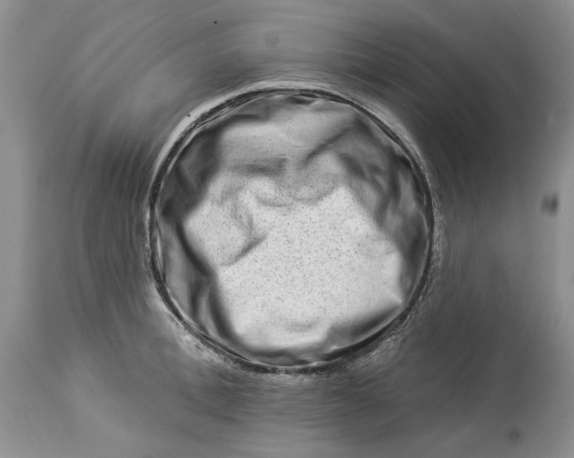 X0000114210996200910231402