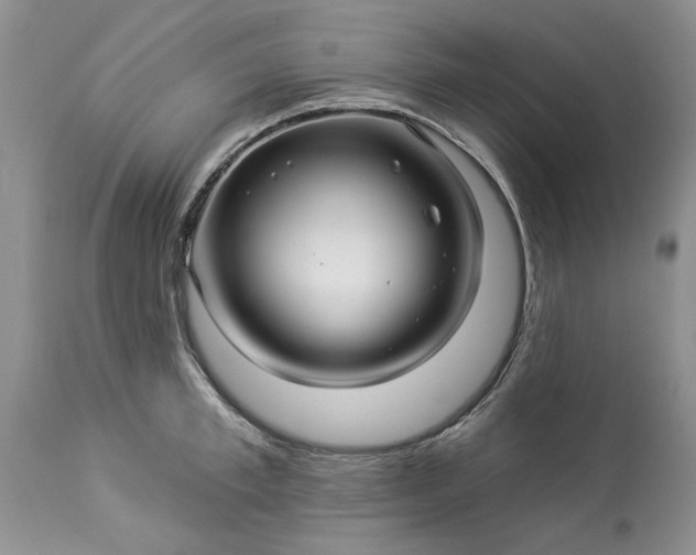 X0000114210997200910231402