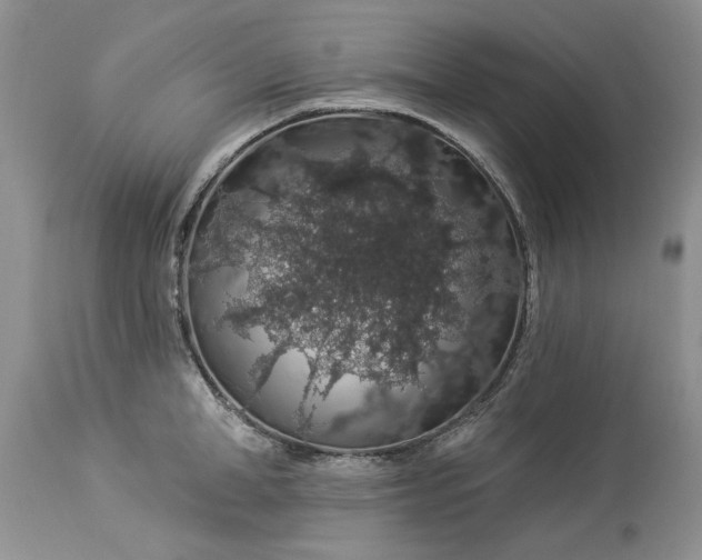 X0000114210998200910231402