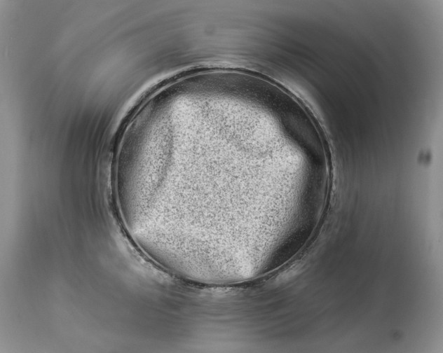 X0000114211000200910231402