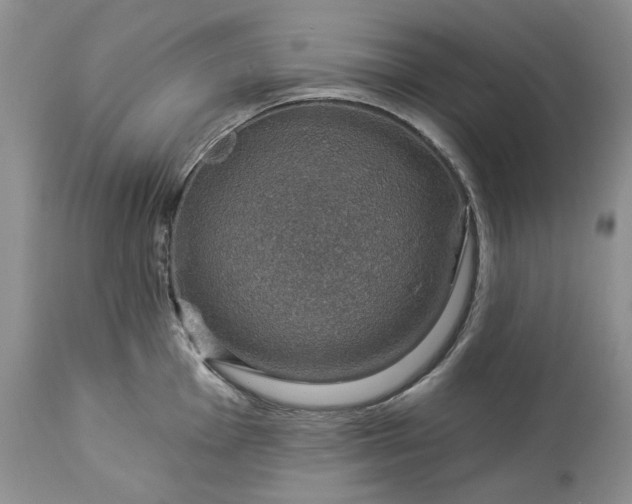 X0000114211001200910231402