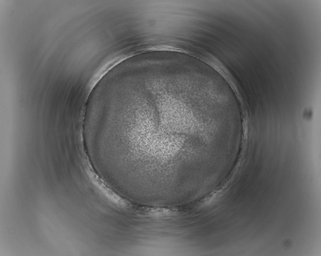X0000114211002200910231402