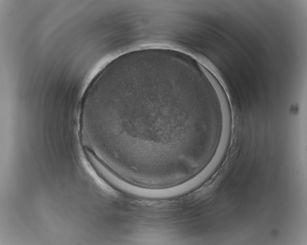 X0000114211005200910231402