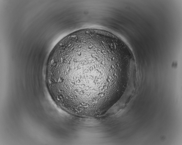 X0000114211007200910231402