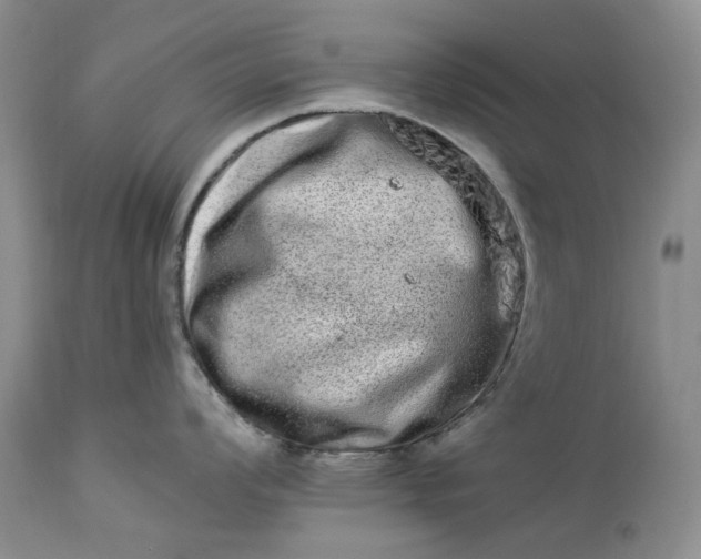 X0000114211008200910231402