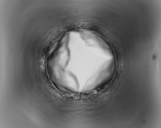 X0000114211010200910231401