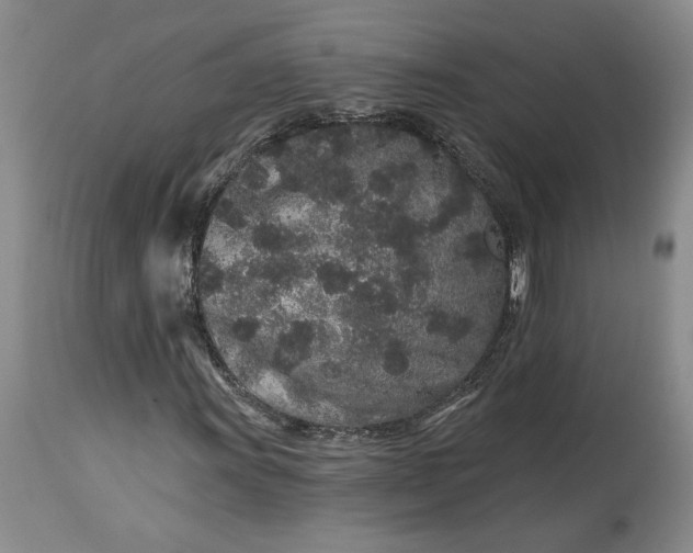 X0000114211011200910231401