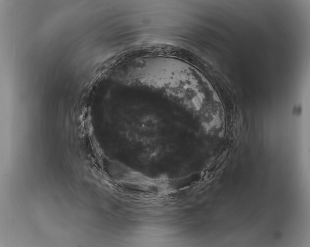 X0000114211013200910231401