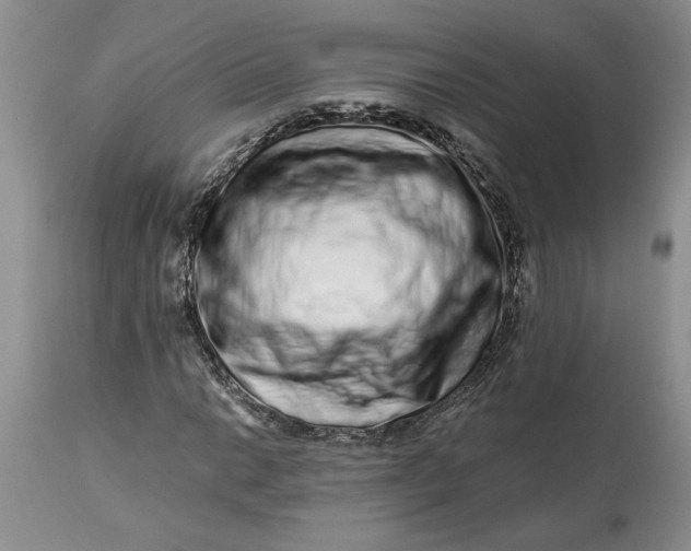 X0000114211014200910231401