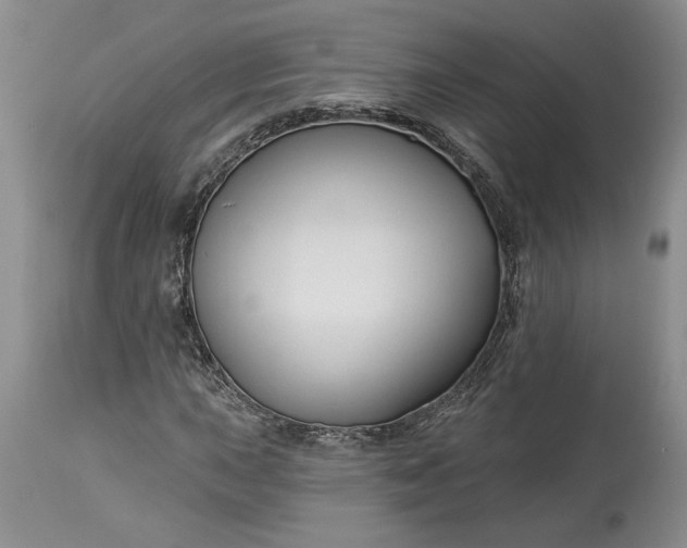 X0000114211015200910231401