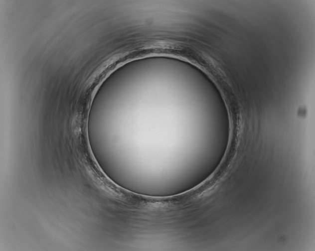X0000114211017200910231401