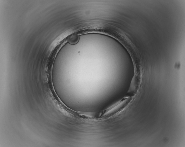 X0000114211018200910231401